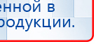 СКЭНАР-1-НТ (исполнение 02.2) Скэнар Оптима купить в Тамбове, Аппараты Скэнар купить в Тамбове, Медицинская техника - denasosteo.ru